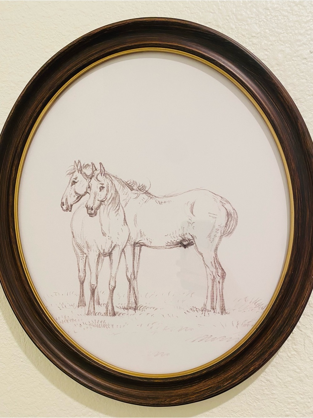 Western Horse Picture